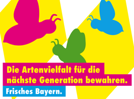 FDP-Position zum Volksbegehren "Bienen"